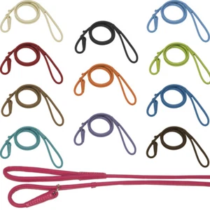 Soft Rolled Genuine Leather Padded Slip Lead for Dogs 4 Sizes 12 Colors - Picture 1 of 13