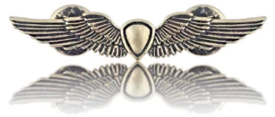 The Last of Us, Ellie’s Gold Shield Wings Pin Metall Rucksack  Badge (Tarnished) - Bild 1 von 4