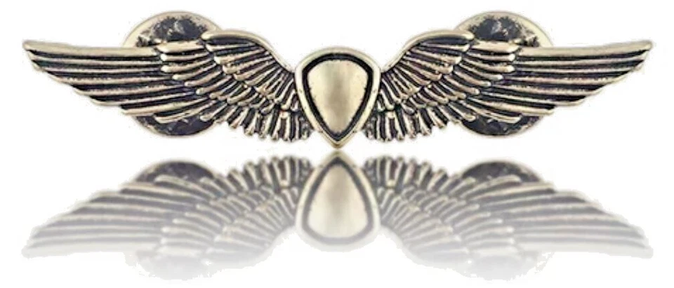 The Last of Us, Ellie’s Gold Shield Wings Pin Metall Rucksack  Badge (Tarnished) - Bild 1 von 4