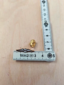 old Vtg Phoenix Aviations wings Fittech Industries pid badge collectible - Picture 1 of 4