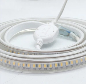 Rollo de tira LED 3038 144 LED/M 220V blanco frío con controlador 15W/M interior/exterior - Imagen 1 de 13