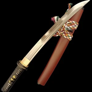Handgefertigte Blutnut gefalteter Stahl Japan Tanto kurzes Schwert Samurai Schlacht Katana - Bild 1 von 12