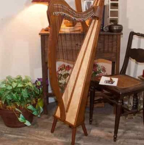 29 Strings Irish Harp Rosewood Musical Instruments Harp Free Strings Set,Key,Bag - Picture 1 of 6