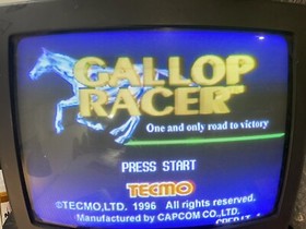 Gallop Racer Jamma board (PCB) for Arcade game 100 % Working & Original