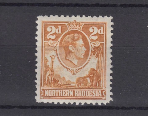 Northern Rhodesia KGVI 1938 12d Yellow Brown SG31 MLH BP3030 Cover