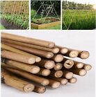 2FT 3FT 4FT 5FT 6FT Bamboo Garden Canes Strong Thick Plant Support Pole Stick
