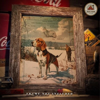 De colección Beagle Perro Arte Impresión Escopeta Concha Caja Conejo Caza Obra de Arte Decoración Foto 1 de 4