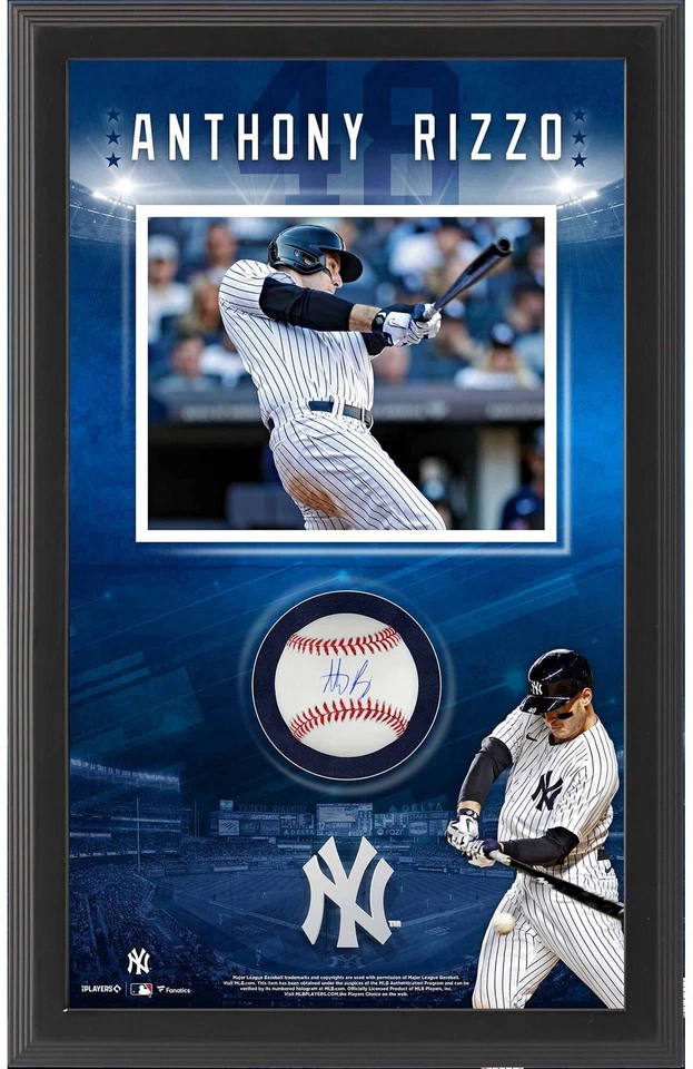 Béisbol autografiado enmarcado Anthony Rizzo New York Yankees con collage de caja de sombras Foto 1 de 1