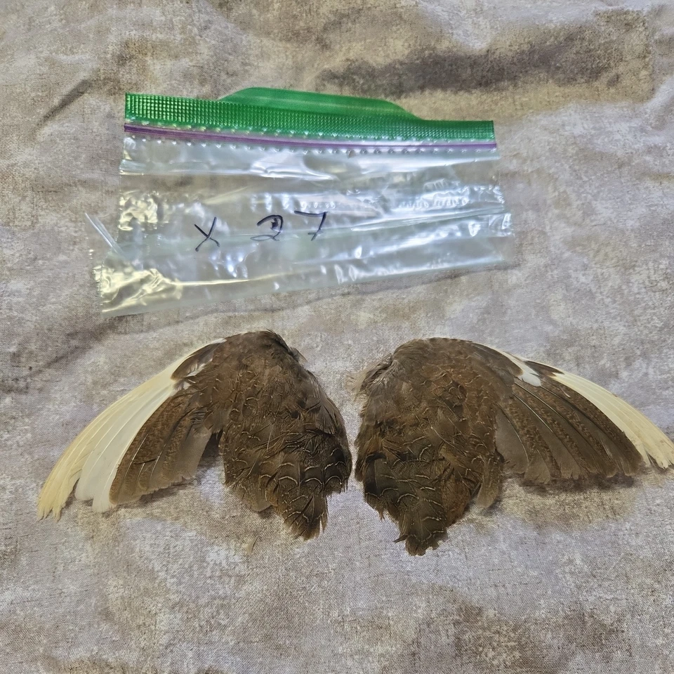 1 комплект перепелиных крыльев - x27 - Изображение 1 из 1