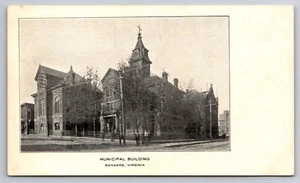 Municipal Building Roanoke Virginia c1905 Postcard - Picture 1 of 2