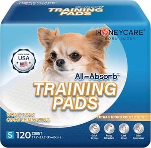 Care All-Absorb, Small 17.5" x 23.5", 120 Count, Dog and Puppy Training Pads - Picture 1 of 6