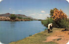 Postcard The Rio Grand New Mexico