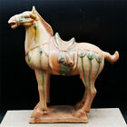 Chinese Tang Tri-color Glazed Ceramics White War Horse Porcelain Statue Z81229
