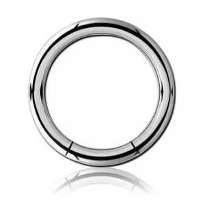 Titan Segment Ring - Bild 1 von 1