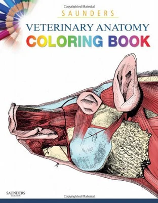 Saunders Veterinary Anatomy Coloring Book, 1e by SAUNDERS Paperback Book The - Image 1 of 2