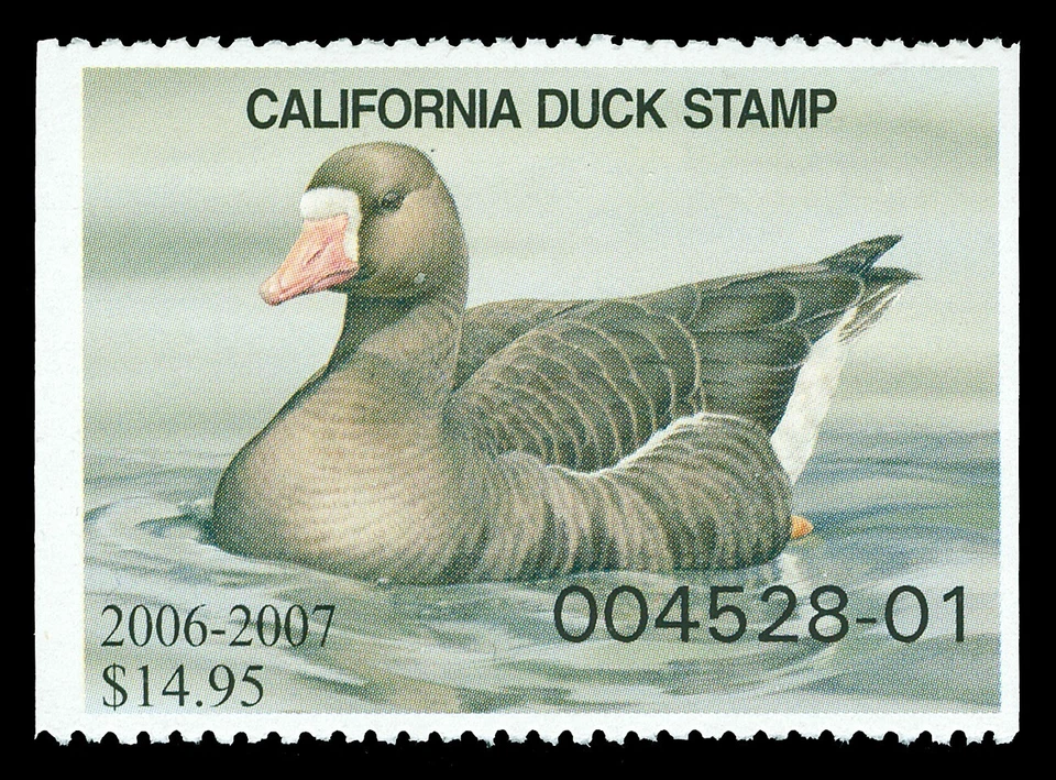Scott CA37 2006 $14.95 California Duck Stamp Mint VF OG NH Cat $18.50 - Image 1 of 1