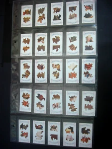 CARRERAS CIGARETTE CARD SET - 1925 PICTURE PUZZLE SERIES - 25 CARD SET - EX/CON. - Picture 1 of 4