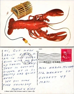 Maine Lobster & Trap Posted 1957 to Everett MA VTG Postcard - Picture 1 of 1