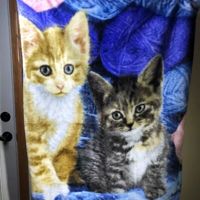 Northwest Company-Blanket  Greg Cuddiford Twin Kittens On A Double Plush Throw - Image 1 of 4