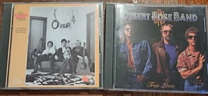 DESERT ROSE BAND 2 CD LOT SELF-TITLED TRUE LOVE SWEET HEART OF THE RODEO BYRDS - Imagen 1 de 3