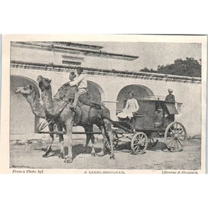 A Camel-Brougham 1897 Victorian Photo AE9-TS8 - Picture 1 of 2
