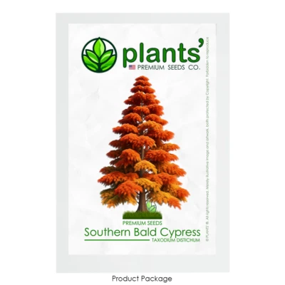 Southern Bald Cypress Tree | Premium Seeds | Taxodium distichum 'Fall' | Plants' - Image 1 of 4