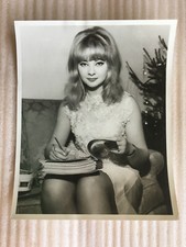 Mandy Rice Davies, original vintage press headshot photo 
