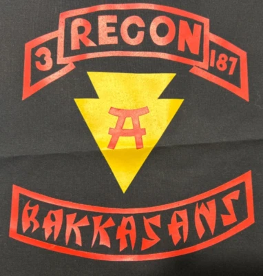 3rd BN RECON Platoon, 187th INF REG, 3rd BDE Rakkasans 101st Airborne DIV Guidon - Image 1 of 3