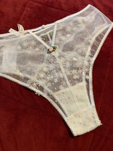 nova brief panties victoria secret