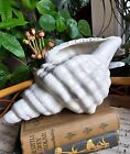 Vintage Beswick Pottery Ceramic White Conch Shell Planter Made in England RARE