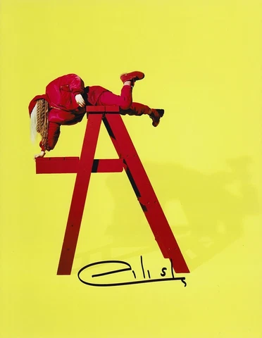 Billie Eilish Signed Autograph &burn 8x10 Photo w/COA Cover
