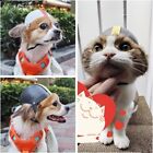 Foam Lining Pet Hat ABS Hard Helmet New Pet Helmets  Cat