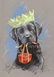 Black Labrador Dog, Christmas cards pack of 10 by Paul Doyle. C596X - Picture 1 of 1