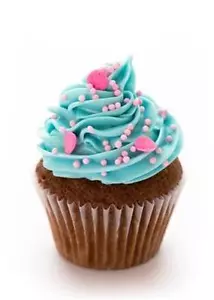Gourmet Cupcake Shop Specialty Bakery BUSINESS PLAN + MARKETING PLAN = 2 PLANS! - Picture 1 of 1