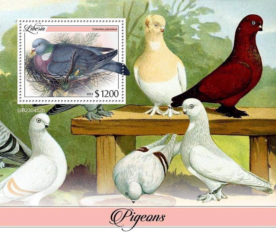 Estampillas de palomas aves MNH 2023 Liberia S/S Foto 1 de 1