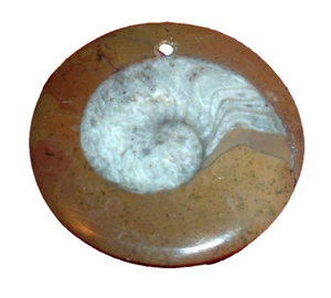 Kleiner Ammonit polierter Stein Fossil Anhänger (63 - 133) Millionen Jahre alt - Bild 1 von 5