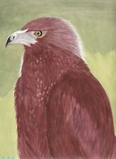 Tasmanian Wedge Tailed Eagle, original acrylic painting by inmate artist 444