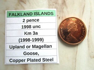 FALKLAND ISLANDS, 2 pence, 1998 unc Km 3a (1998-1999), Goose - Picture 1 of 3