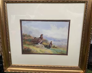 Large F/G Archibald Thorburn ‘Red Grouse 1908’ Print 36.5cm x 27cm - Picture 1 of 8