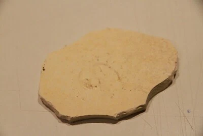 Fossil Schnecke Negativ auf Solnhofer Platte * Fundort Blumenberg Nähe Eichstätt - Bild 1 von 3