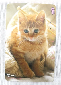Heisei Retro Kitten and yarn Japan Phone Card Telephone used can't use 1991 JP - Picture 1 of 8