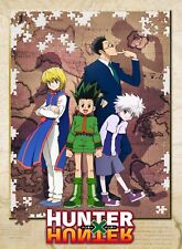 Hunter x Hunter 2011 + 1999 Complete Anime Series (240 Episodes + Movies)