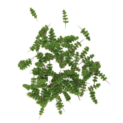 100 Model Trees Z Gauge Train Layout Railway Architecture Park Scenery 4cm - Image 1 of 4