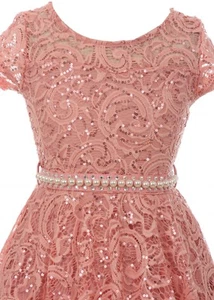 Rose Floral Lace Top Glitter Pearl Sash Wedding Formal Party Flower Girl Dress - Picture 1 of 5