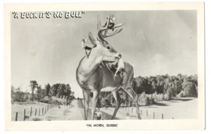 Bizarre RPPC EXAGGERATION Men Climb Buck DEER - Van Morin, Quebec, Canada 1950s - Picture 1 of 2