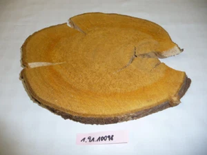 Japan.Wildkirsche,Drechselholz,Schnitzholz,Scheibe,drechseln,ca.26x23x2cm,10098 - Bild 1 von 2