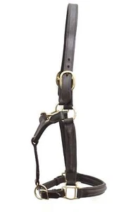 Collare imbottito per cavalli in pelle marrone imbottito con raccordo in ottone Premium - Foto 1 di 5
