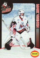 2008/09 Niagara IceDogs - MARK VISENTIN [g]