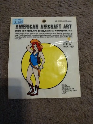 AMERICAN AIRCRAFT DECAL - VINTAGE - STICKER - RC  #2309 SKULLHEAD SHIPS FREE - Image 1 of 2