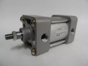 CILINDRO NEUMÁTICO MC NCDA1F250-0100 UNF 250 PSI 1.7MPA - Imagen 1 de 1